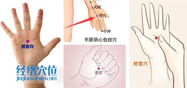 勞宮穴位位置圖