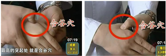 合谷穴的準(zhǔn)確位置圖