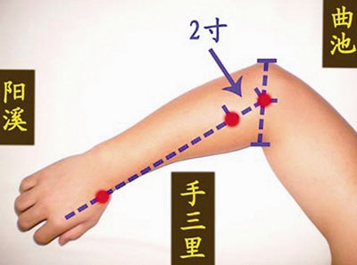 曲池穴、手三里穴的位置圖