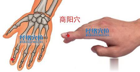 圖解商陽穴的位置