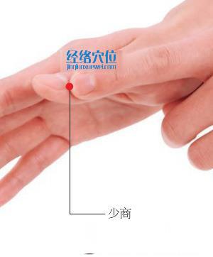 圖解少商穴位置圖