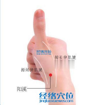 高清圖解陽溪穴的位置圖