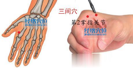 高清圖解三間穴的準(zhǔn)確位置圖