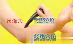 尺澤穴的位置圖