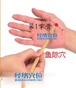 圖解魚際穴的準(zhǔn)確位置圖