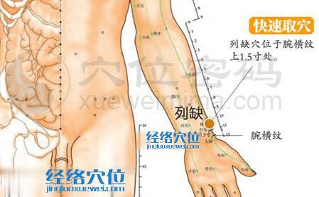 高清圖解列缺穴