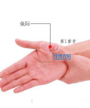 圖解魚際穴的準(zhǔn)確位置圖