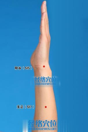 陽谷穴的位置圖