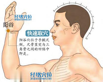 圖解陽谷穴的位置圖