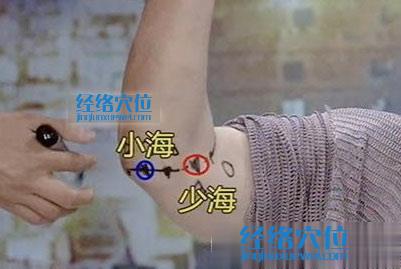 高清圖解小海穴的準確位置圖