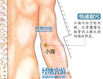 高清圖解小海穴的準確位置圖