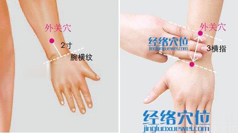 外關(guān)穴位位置圖