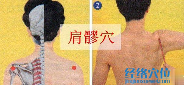 肩髎穴的準(zhǔn)確位置圖
