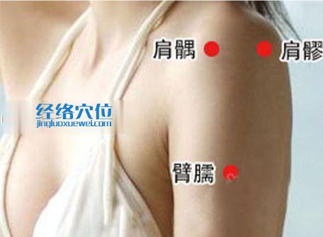 肩髎穴的位置圖