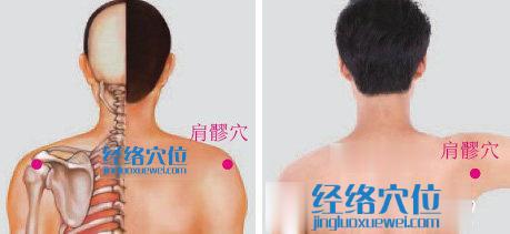 肩髎穴位位置圖