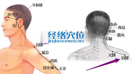 肩髎穴位位置圖