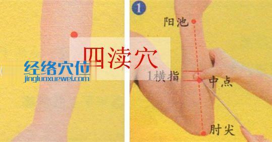 圖解四瀆穴的位置及取穴方法