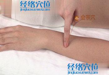 會(huì)宗穴位位置圖