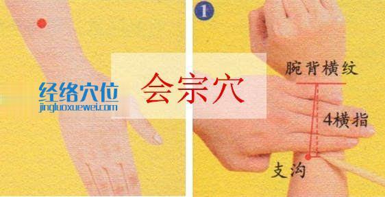 圖解會(huì)宗穴的位置及取穴方法