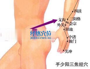 支溝穴的位置圖