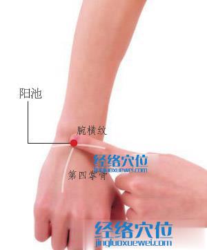 陽(yáng)池穴位位置圖