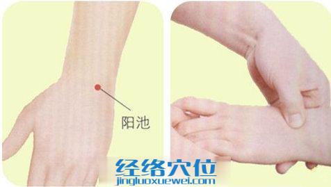 陽(yáng)池穴按摩方法示范圖片