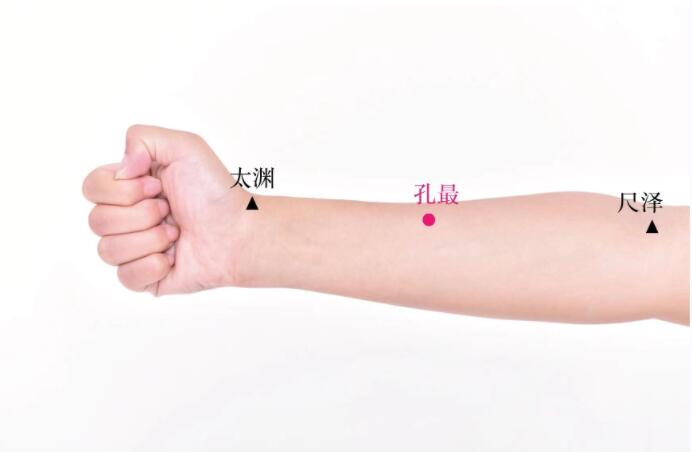 孔最穴的準(zhǔn)確位置圖及功效視頻位位置圖