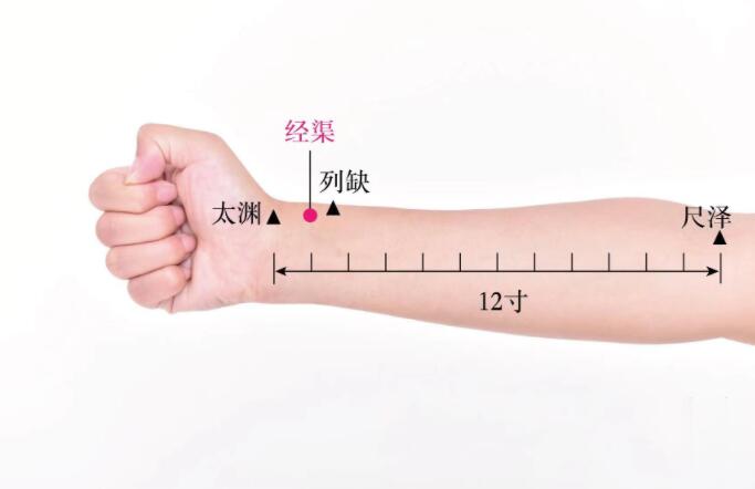 經(jīng)渠穴的準(zhǔn)確位置圖及功效視頻位位置圖