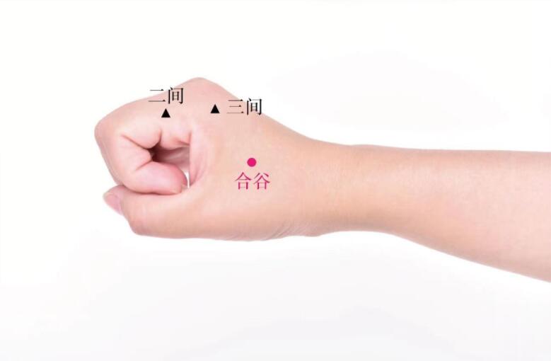 合谷穴的準(zhǔn)確位置圖及功效視頻位位置圖