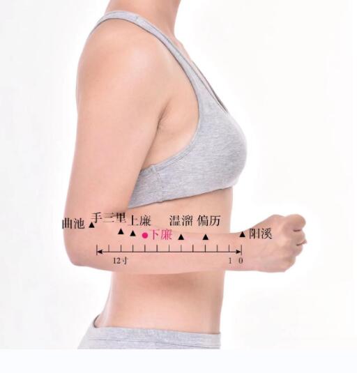 下廉的準(zhǔn)確位置圖及功效視頻位位置圖