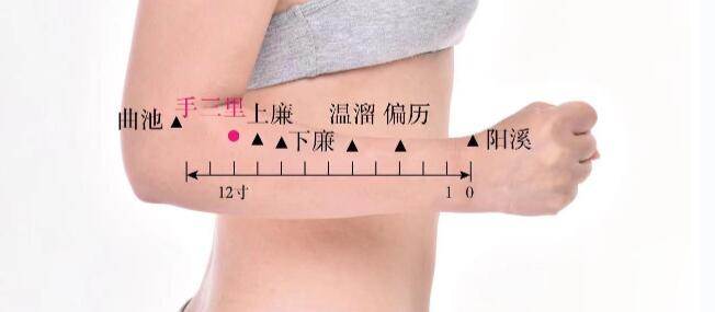 手三里的準確位置圖及視頻功效位位置圖