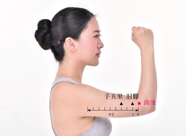 曲池的準(zhǔn)確位置圖及視頻功效位位置圖