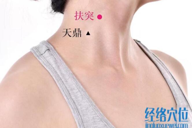 扶突的準確位置圖及功效視頻位位置圖