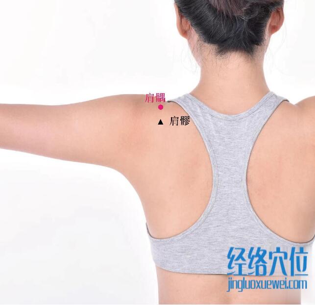 肩髃的準確位置圖及功效視頻位位置圖