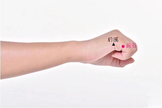 前谷的準(zhǔn)確位置圖及功效視頻位位置圖