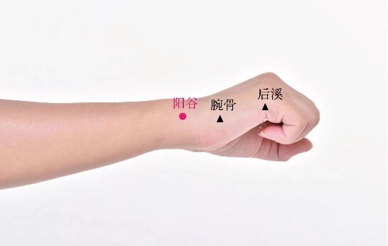 陽(yáng)谷的準(zhǔn)確位置圖及功效視頻位位置圖