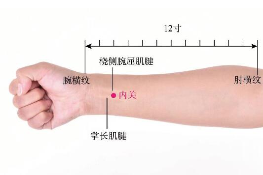 內(nèi)關(guān)的準(zhǔn)確位置圖及功效視頻位位置圖