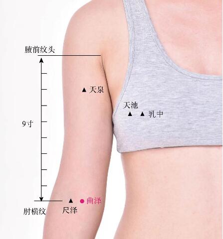 曲澤的準(zhǔn)確位置圖及功效視頻位位置圖