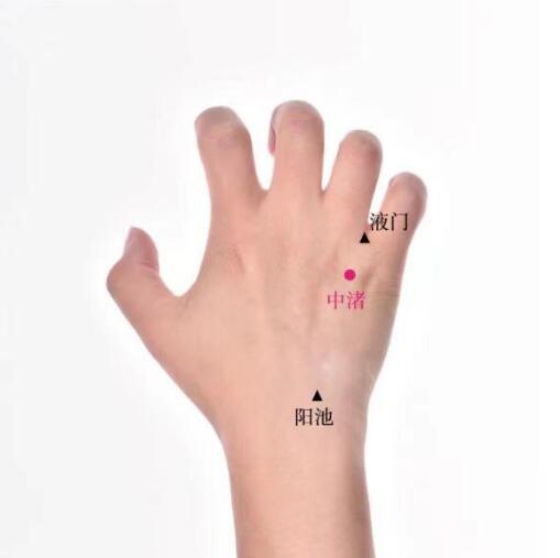 中渚的準(zhǔn)確位置圖及功效視頻位位置圖