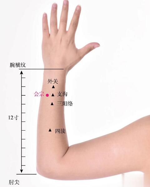 會(huì)宗的準(zhǔn)確位置圖及功效視頻位位置圖