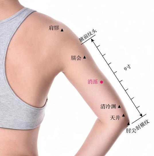 消礫的準(zhǔn)確位置圖及功效視頻位位置圖