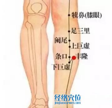 脾俞、豐隆、合谷、足三里、三陰交