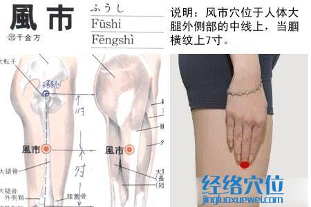 風市穴的位置圖