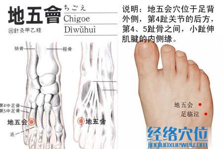 地五會穴位圖