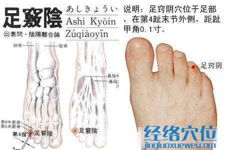 足竅陰穴位圖