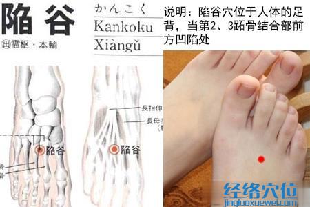 陷谷穴位位置圖