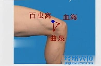 百蟲窩穴位位置圖