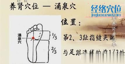 涌泉穴的準(zhǔn)確位置圖