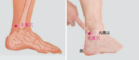 太溪穴位位置圖