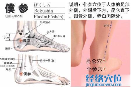 申脈穴位位置圖